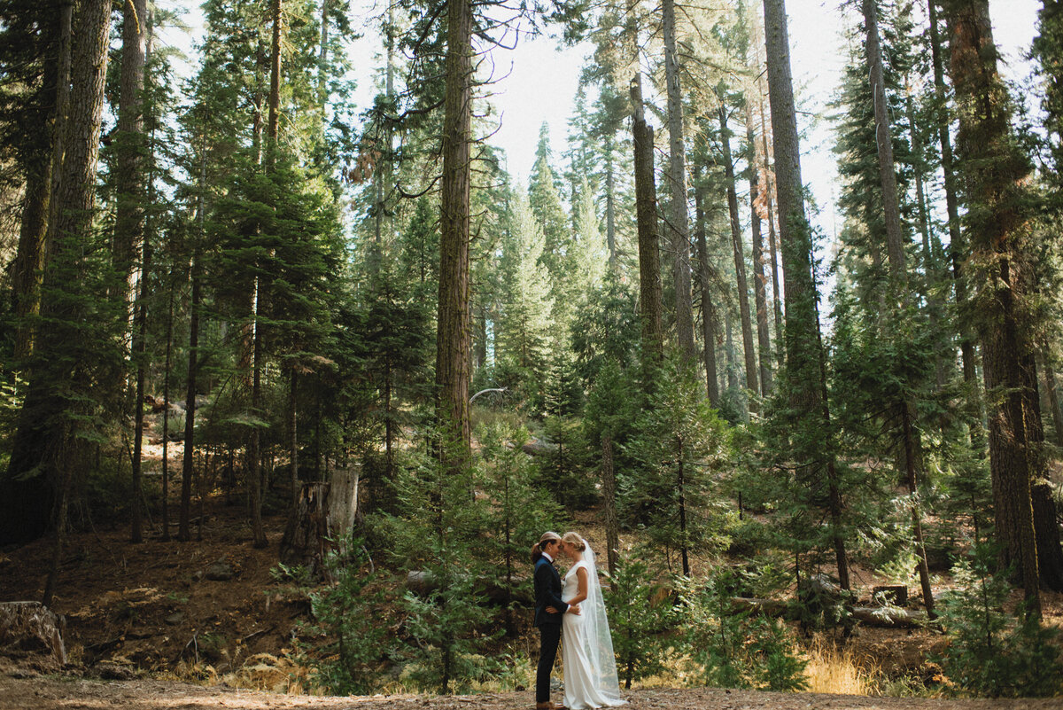 Redwoods-Micro-Wedding-Jess-Rankin-Photographer-4