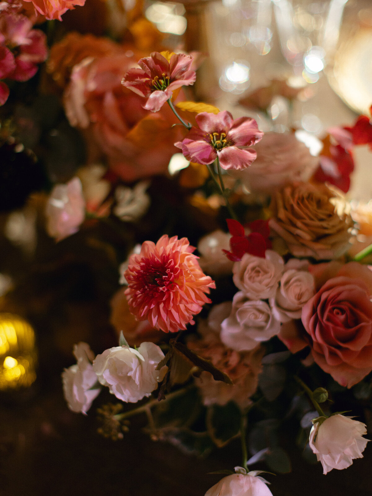 nhm-christine-morgan-Holly Clark Photography -656