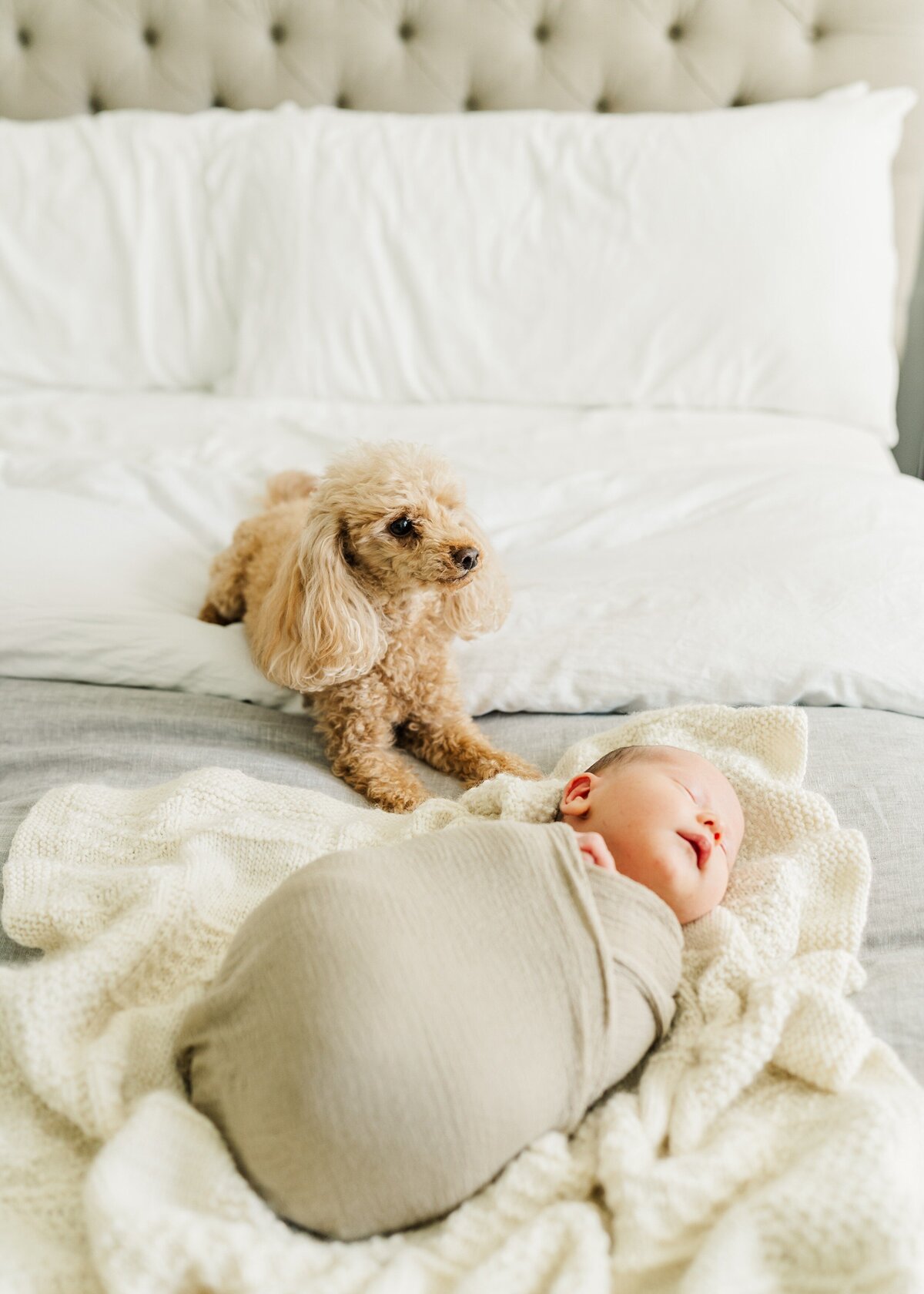 Northern Virginia Newborn Photographer Melissa Sheridan Photography_0052