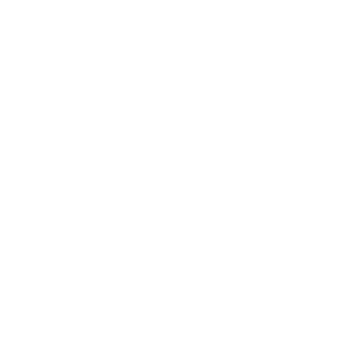 The Unstoppable CEO Logo