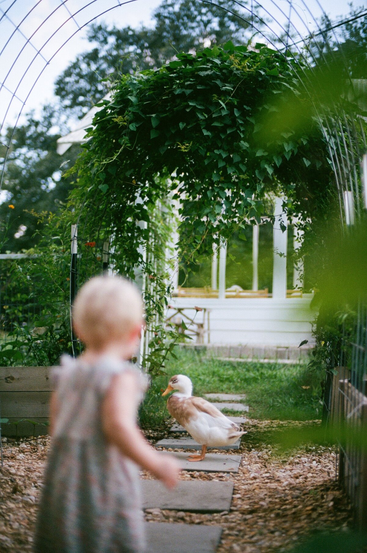 0006_summer-magic