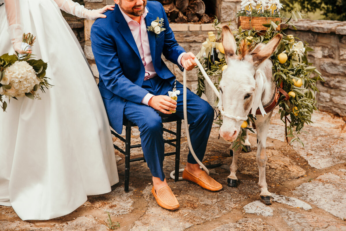 bride and groom with donkey