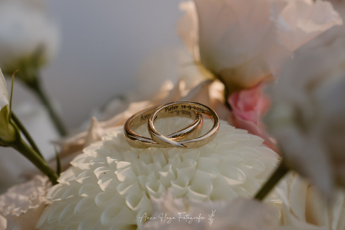 Annahagefotografie-21