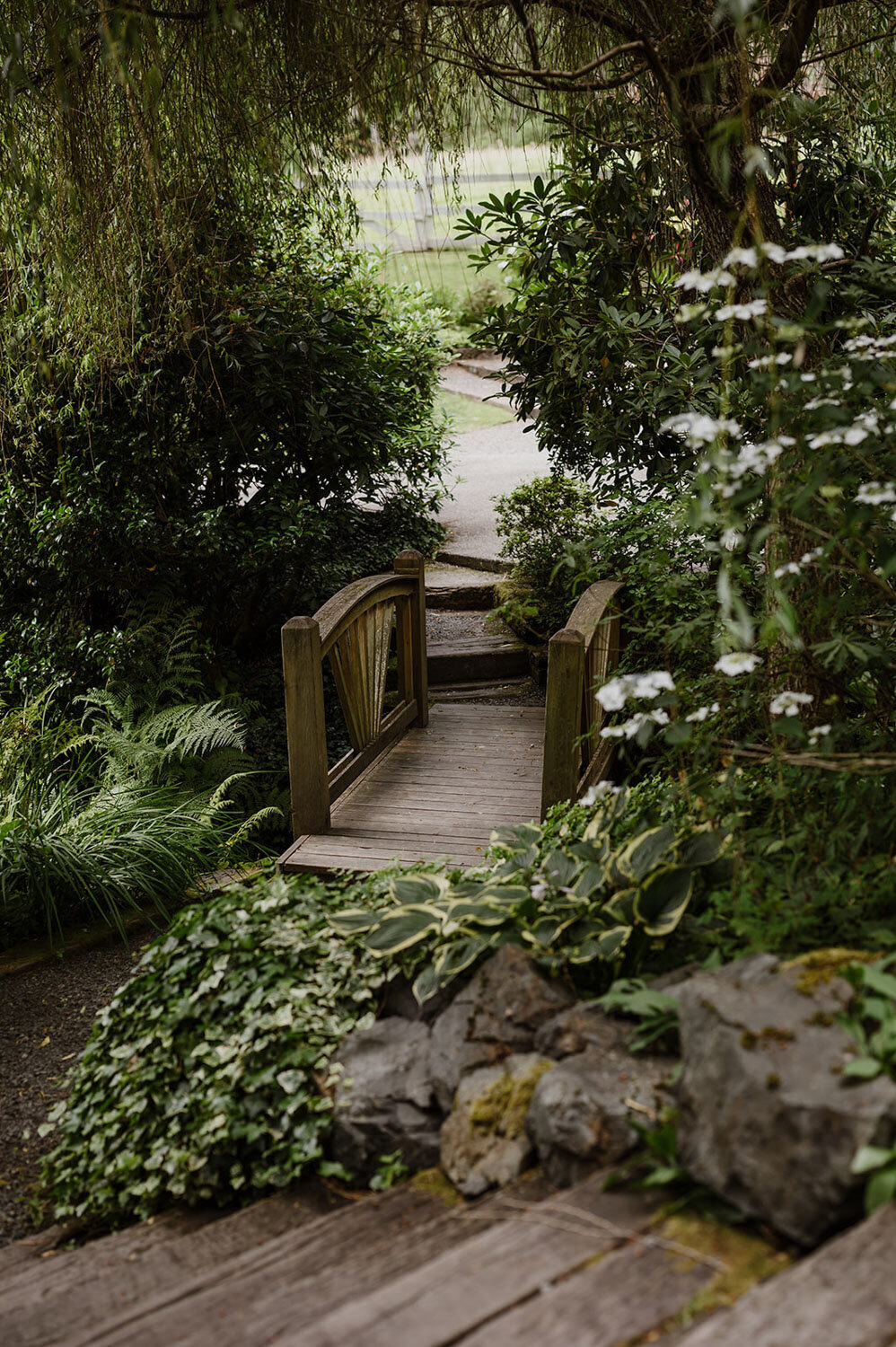 Charming wooden bridge in a lush garden