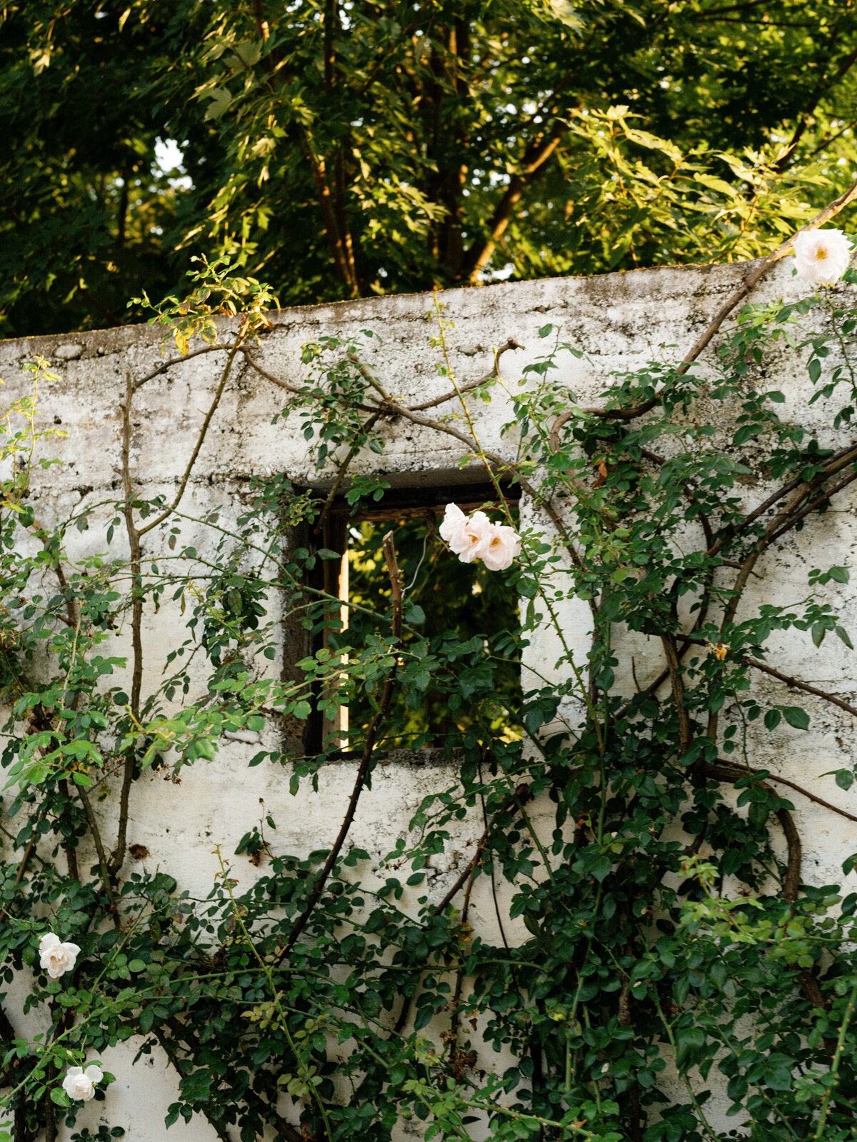 Valley_Rock_Inn_Wedding_Lev_Kuperman_014