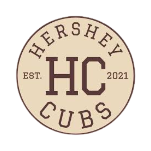 Black Arrow Icon Car Racing Team Logo (3)