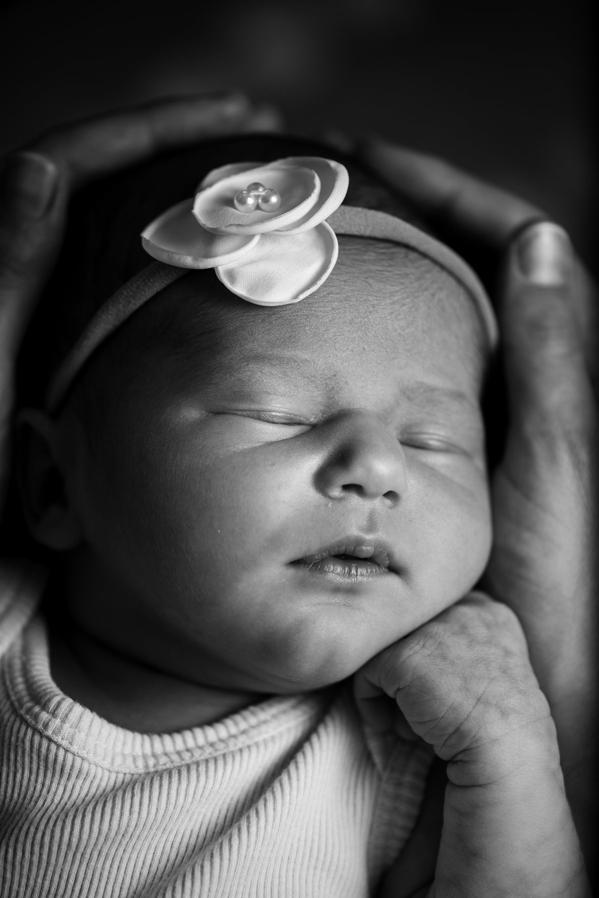 Fine Art Newborn Photographer in Jacksonville, FL