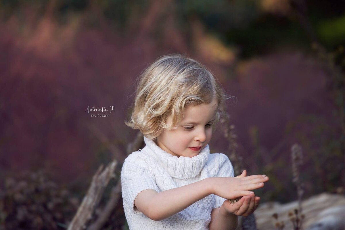 463027035_2759648860903811_7921967408061169095_n