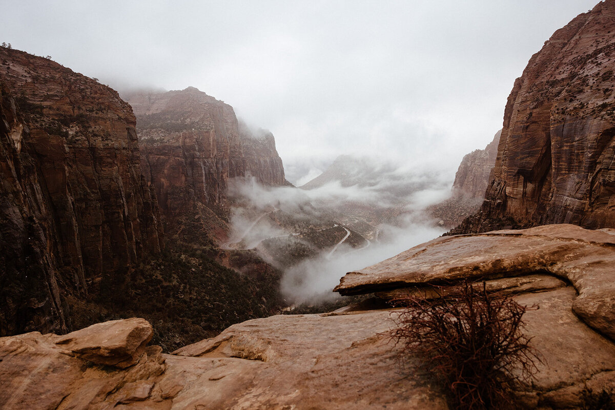 ZionSnowCanyon-dallinhassard-1546