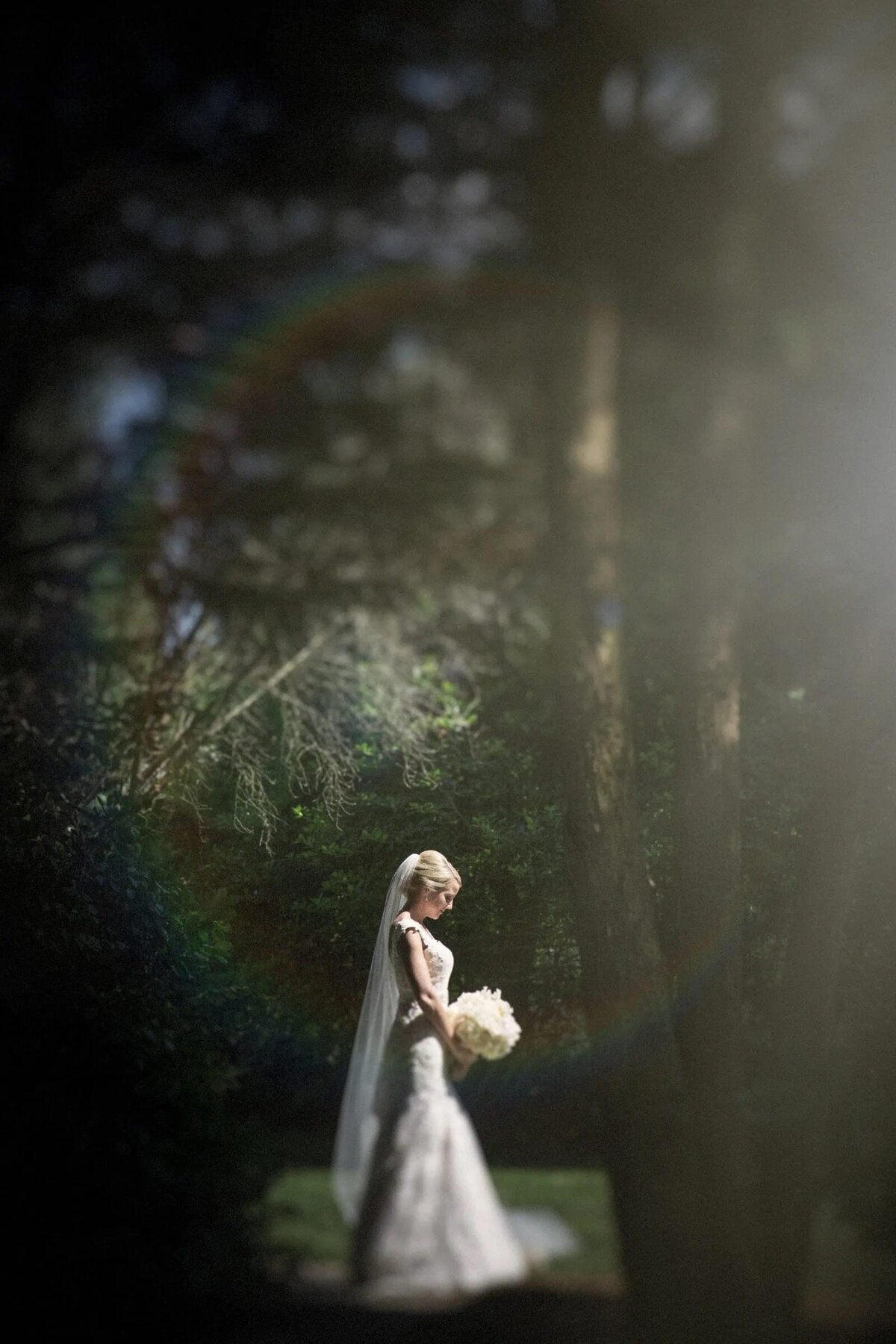 Sun filtering through trees onto a bride holding a bouquet