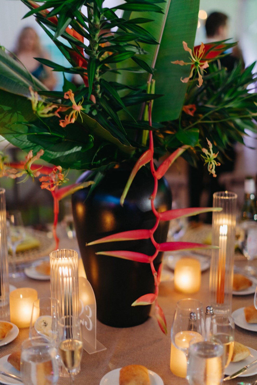 LoganColePhotography-0923