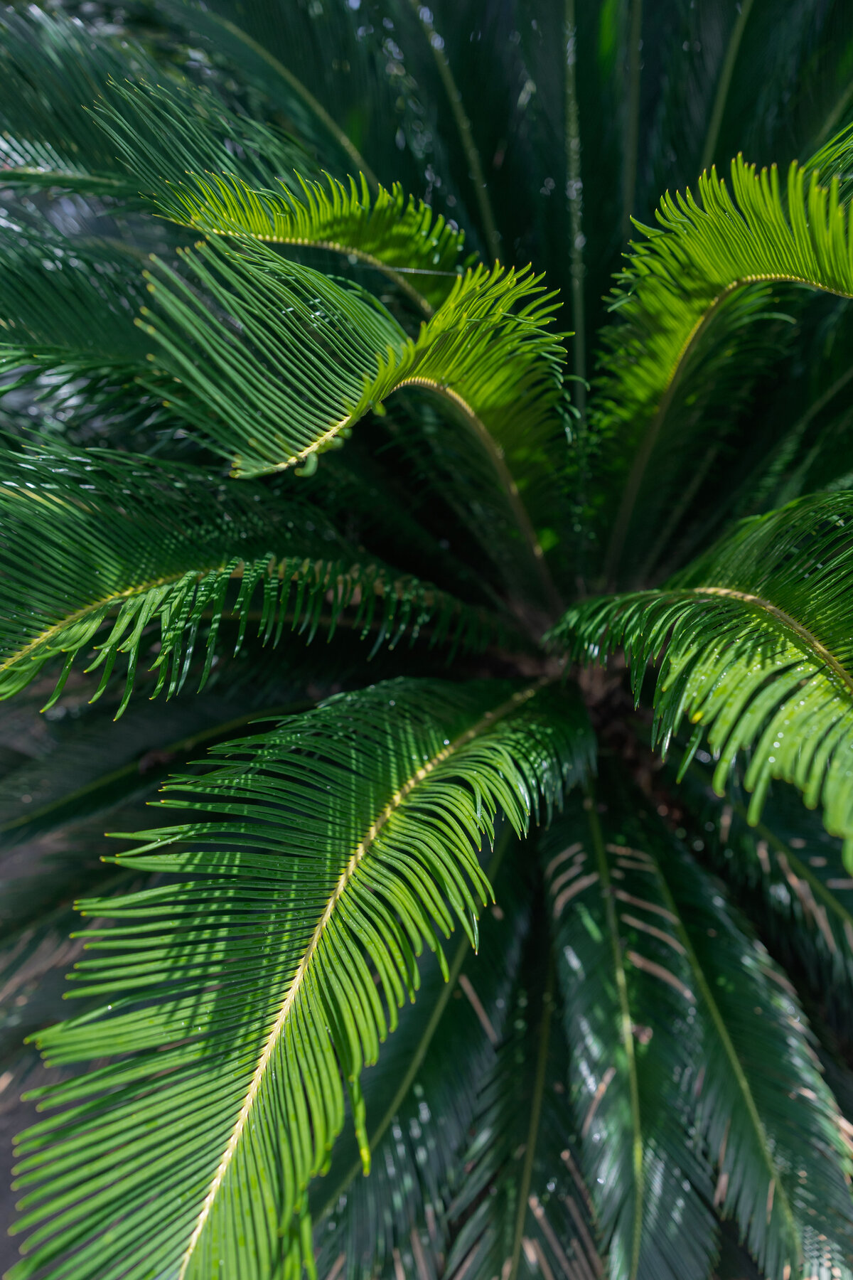 mackenziekatephoto-37