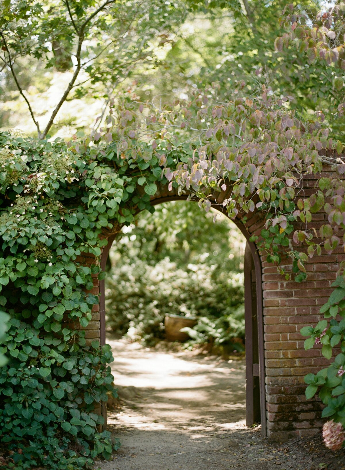 Sarah + Ainsley Filoli California Wedding Sneak Peeks Cassie Valente Photography 0002