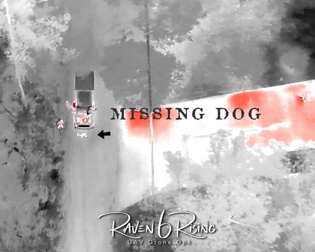 Lost Dog Thermal v2