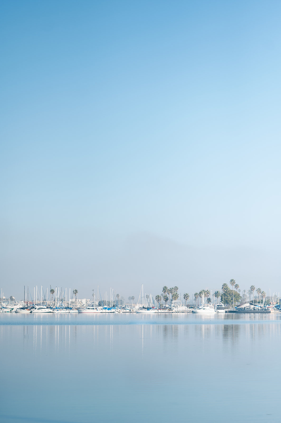 Photography_Hybrid_Wedding_Photos_2025-0155