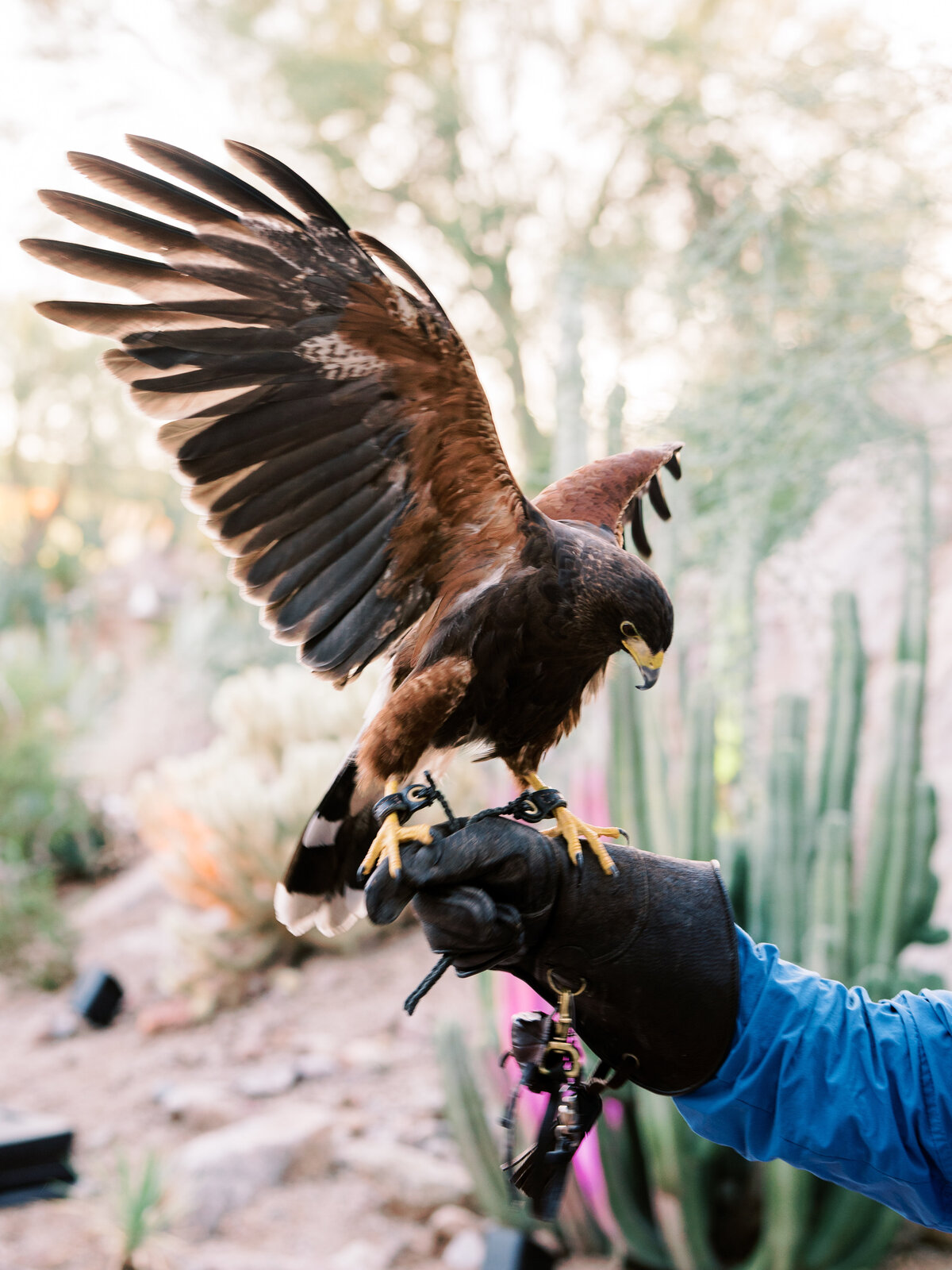 MaryClairePhotography-18