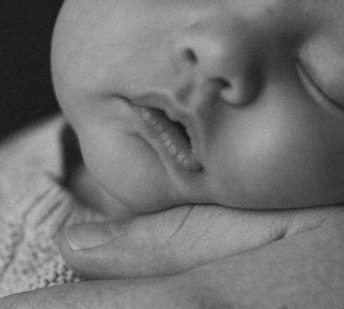 babysloane-26