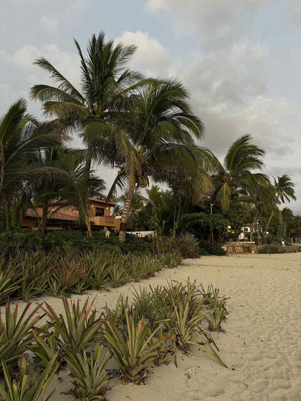 9dc30bb0-89ec-4791-8e51-9193a52e58b5 (1)