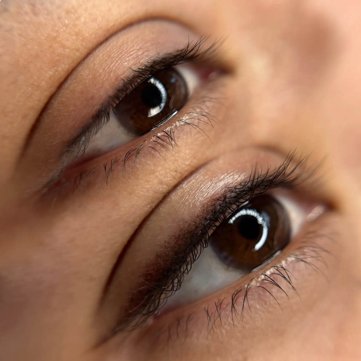 Beauttega Lash Line Enhancement 1 (C+R)