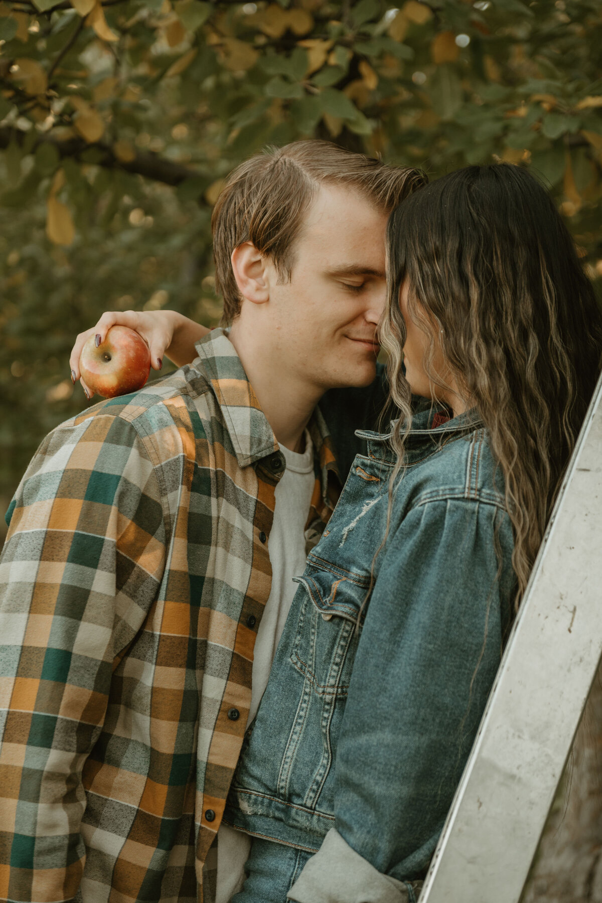 appleorchards-1