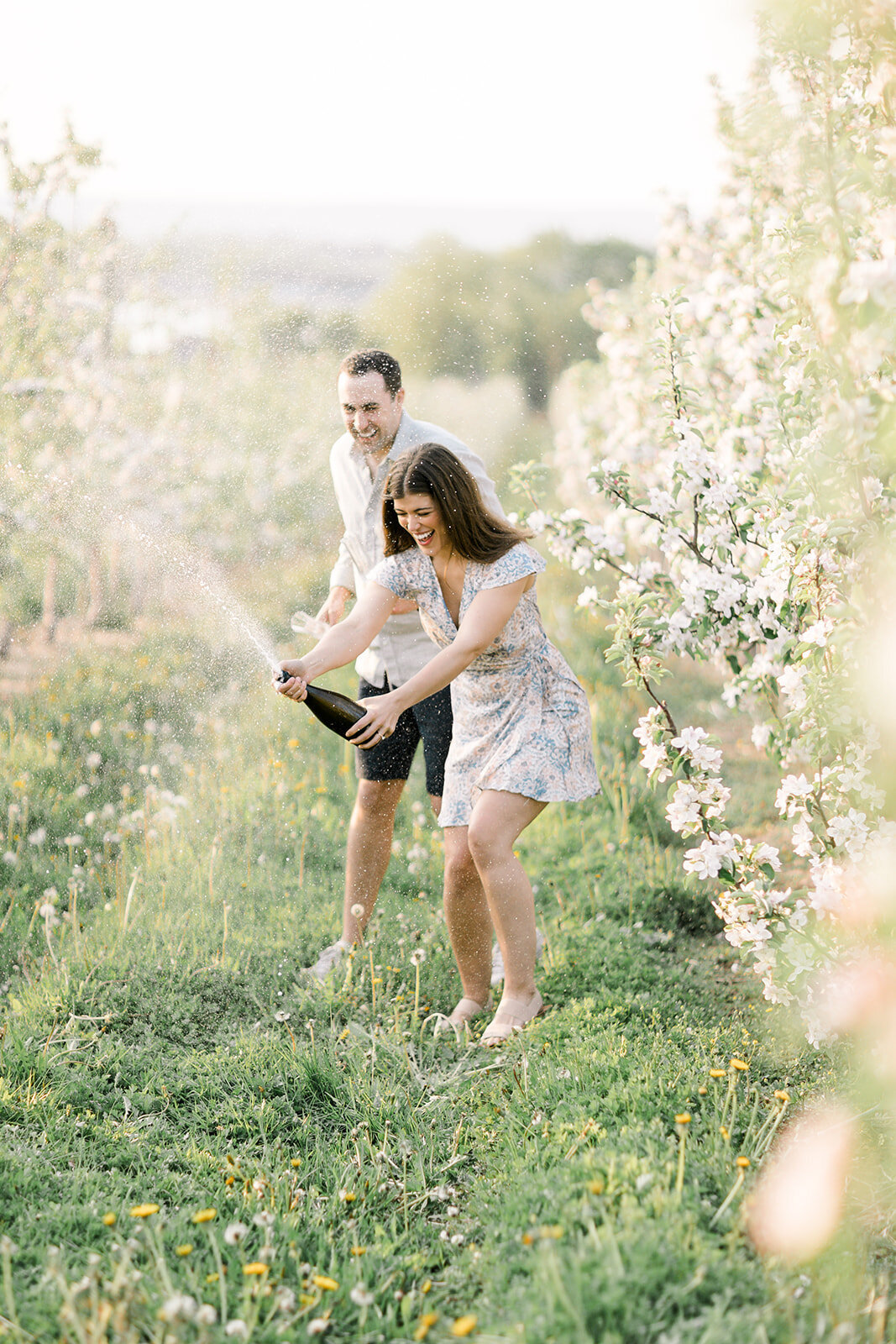 Terri-Lynn Warren Photography - Halifax Engagement Wedding Photographer Apple Blossoms-4123