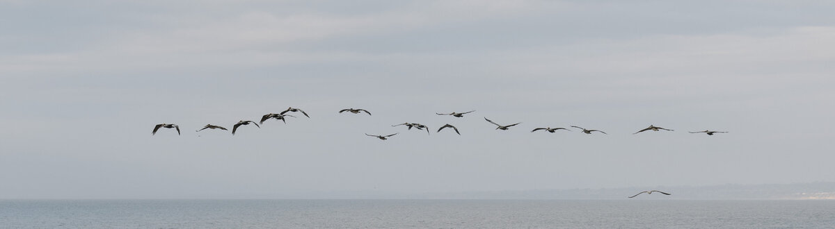 Laura_Burns_Photography-689 copy