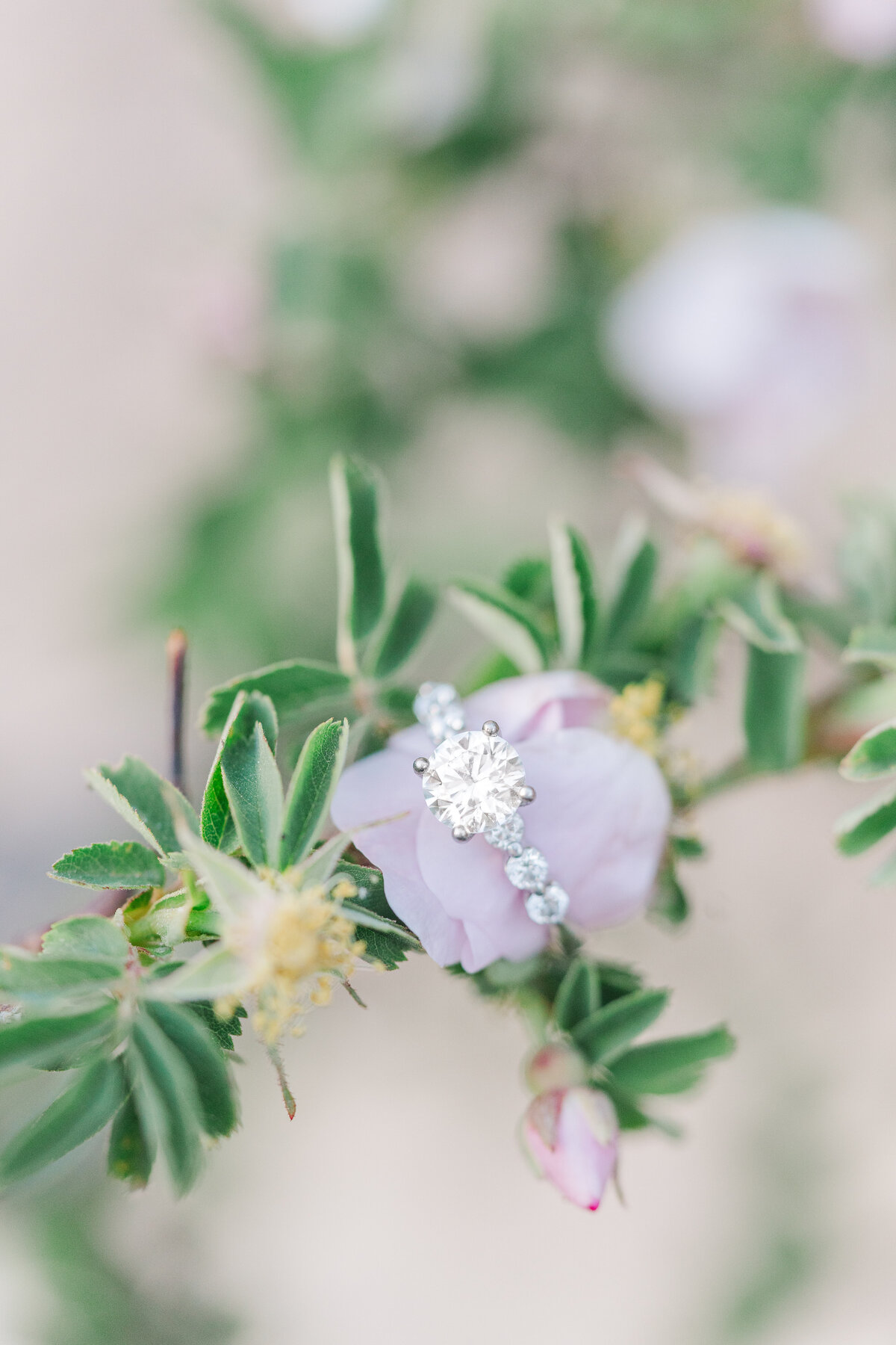 Paint Mines Interpretive Park El Paso Colorado Engagement Session Light and Airy Romantic Pictures Elena Spraguer Photography 0073