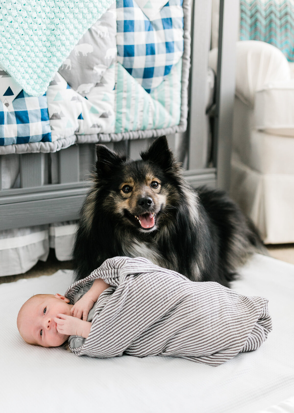 Baby and Dog At Home Newborn Session