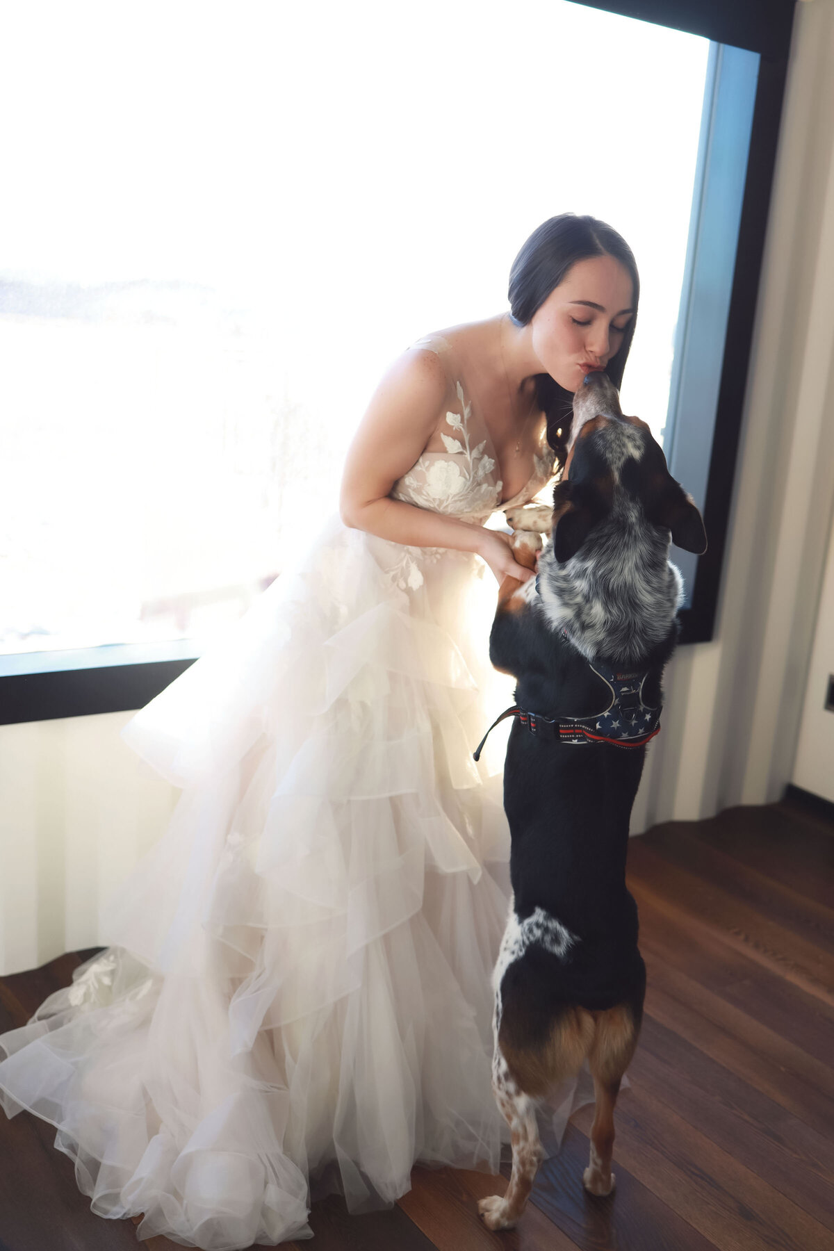 A bride giving kisses to her dog, before she walks down the isle on her wedding day,