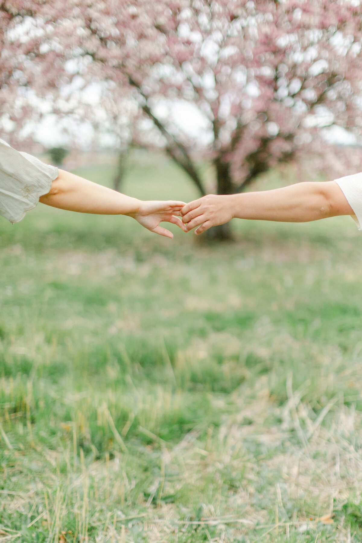 Engagement Portfolio_0028