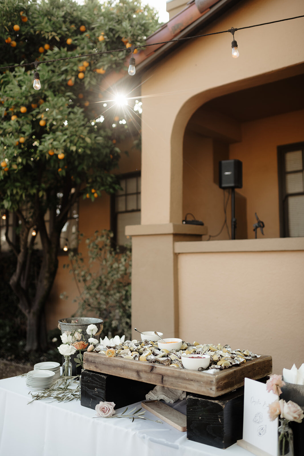 Leili+SamWedding.TonieChristinePhotography-687_websize