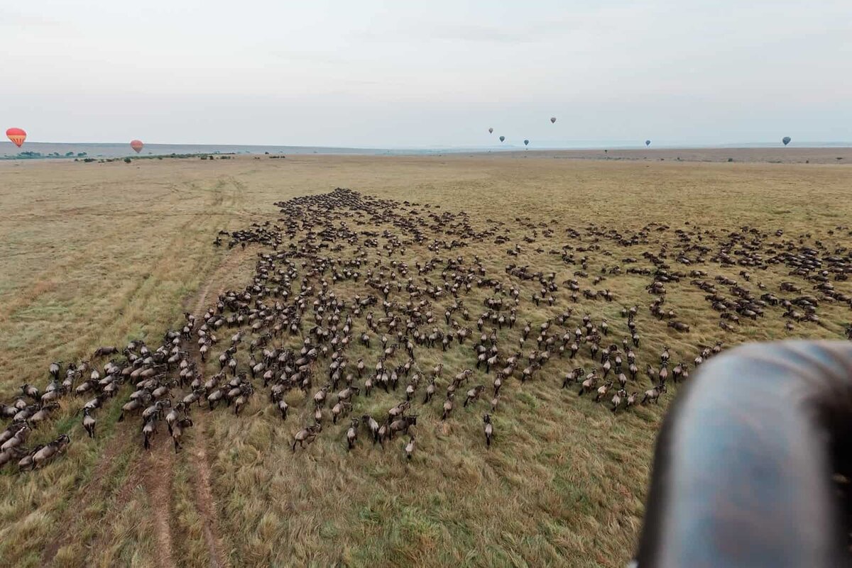 romantic-safari-wedding-Kenya-destination-wedding-with-hotair-balloon-ride-Soul-and-Sky-Weddings