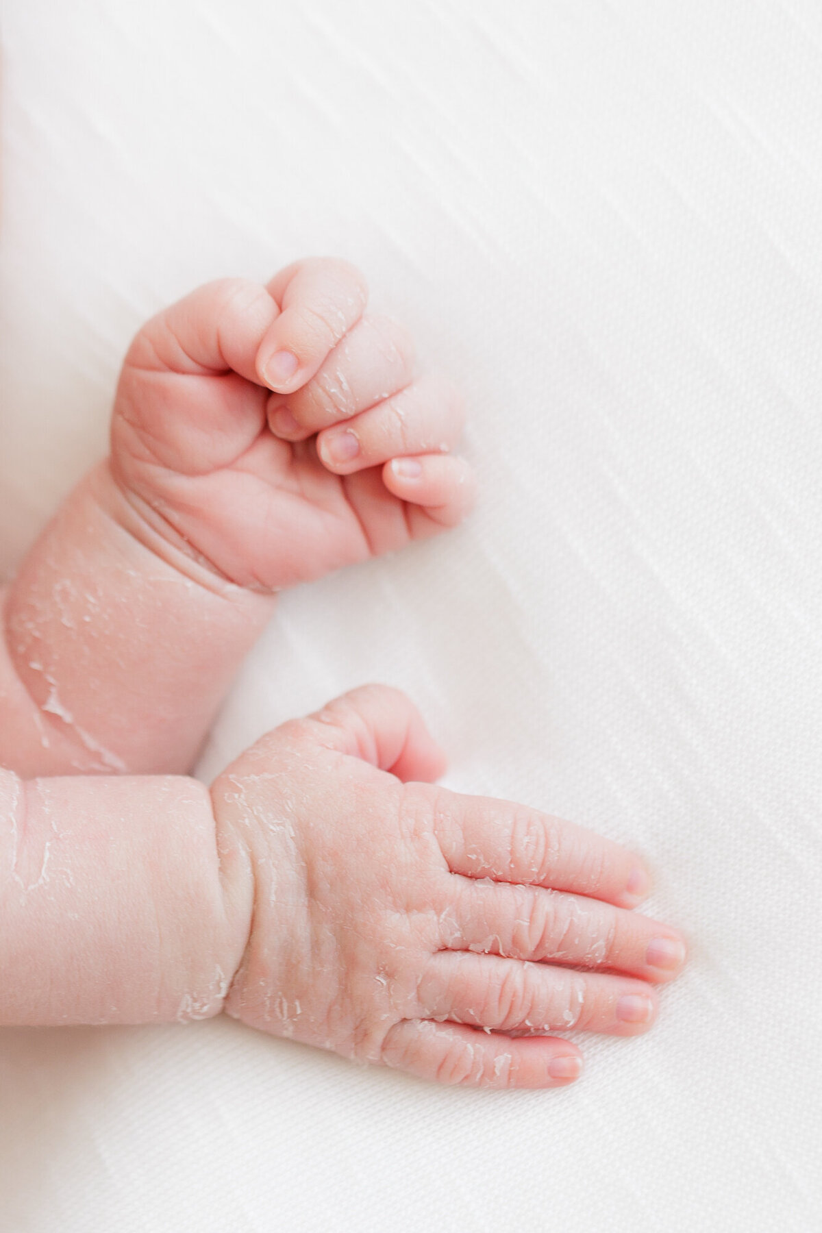 newborn-photos-boise-4719