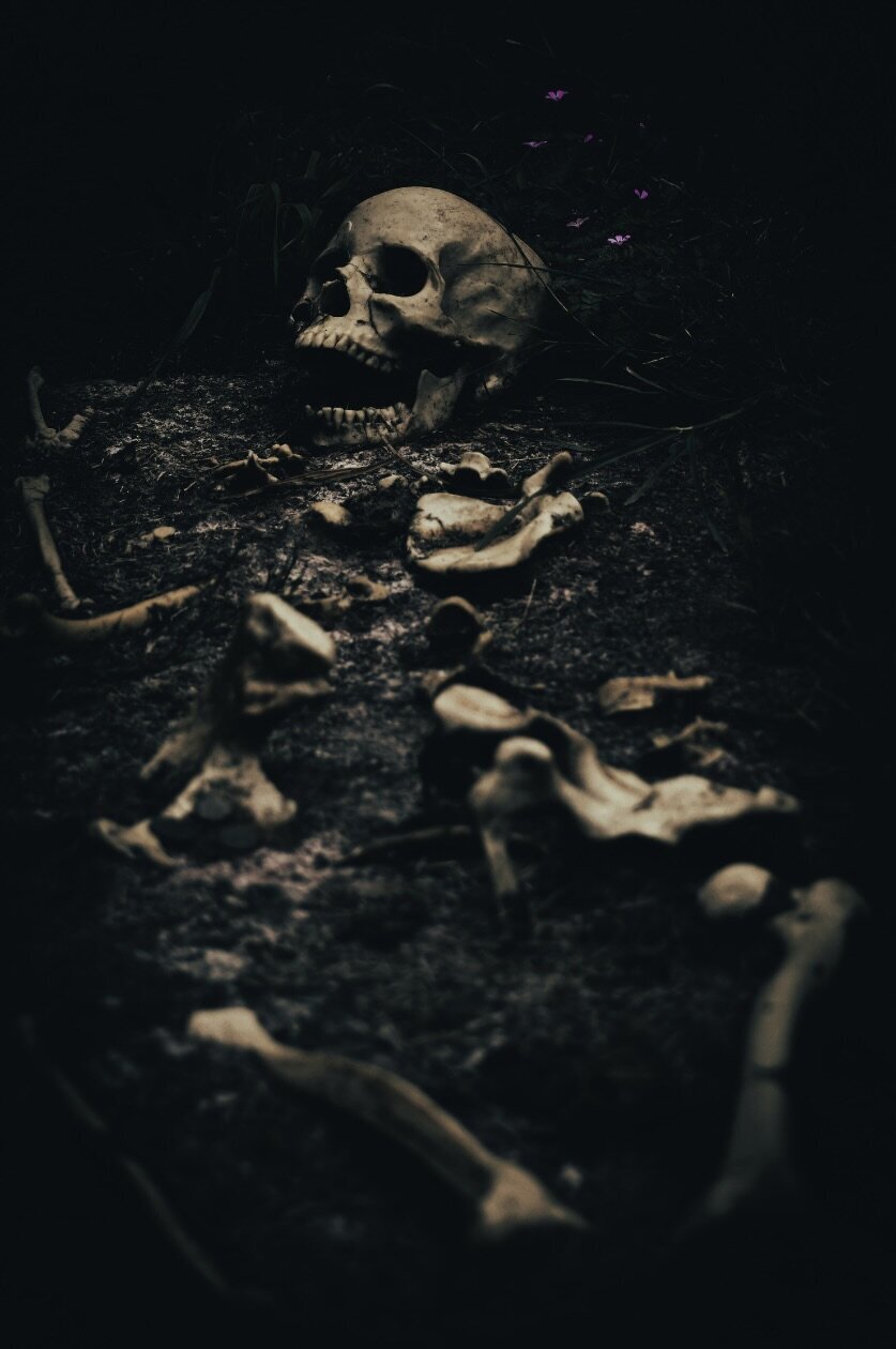 Malignant (4)