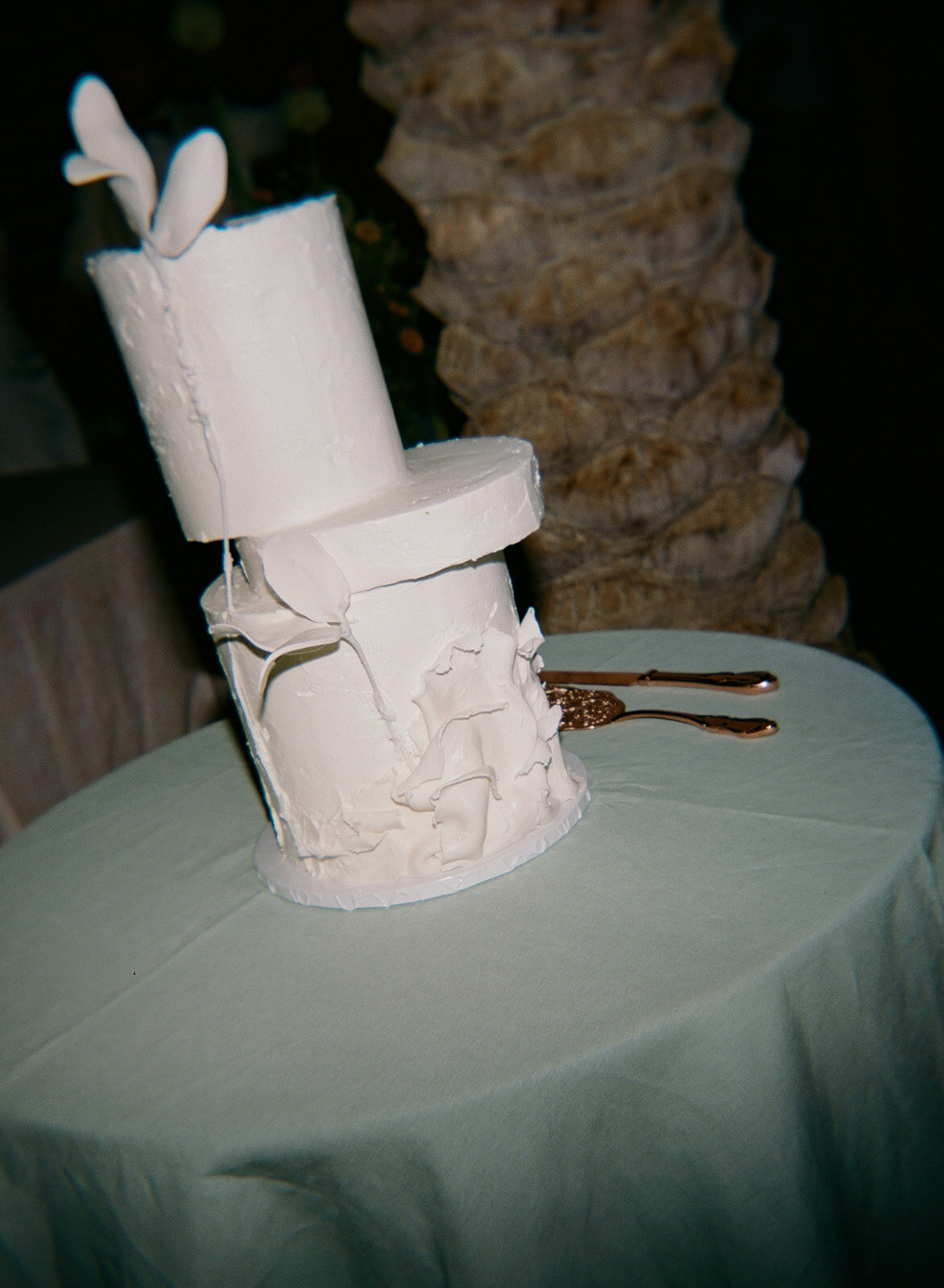 Faye-Fern-Creative-Sands-Hotel-Wedding-KristaKPhotos-Reception-Details-Film-02