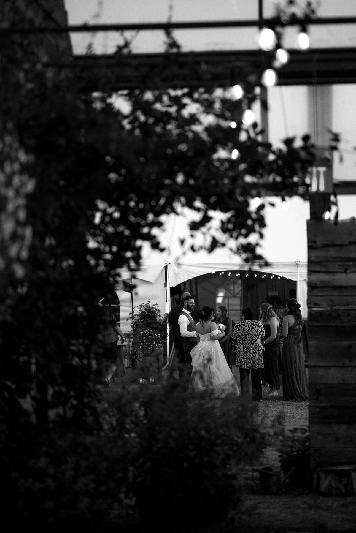 DSC_3764-2