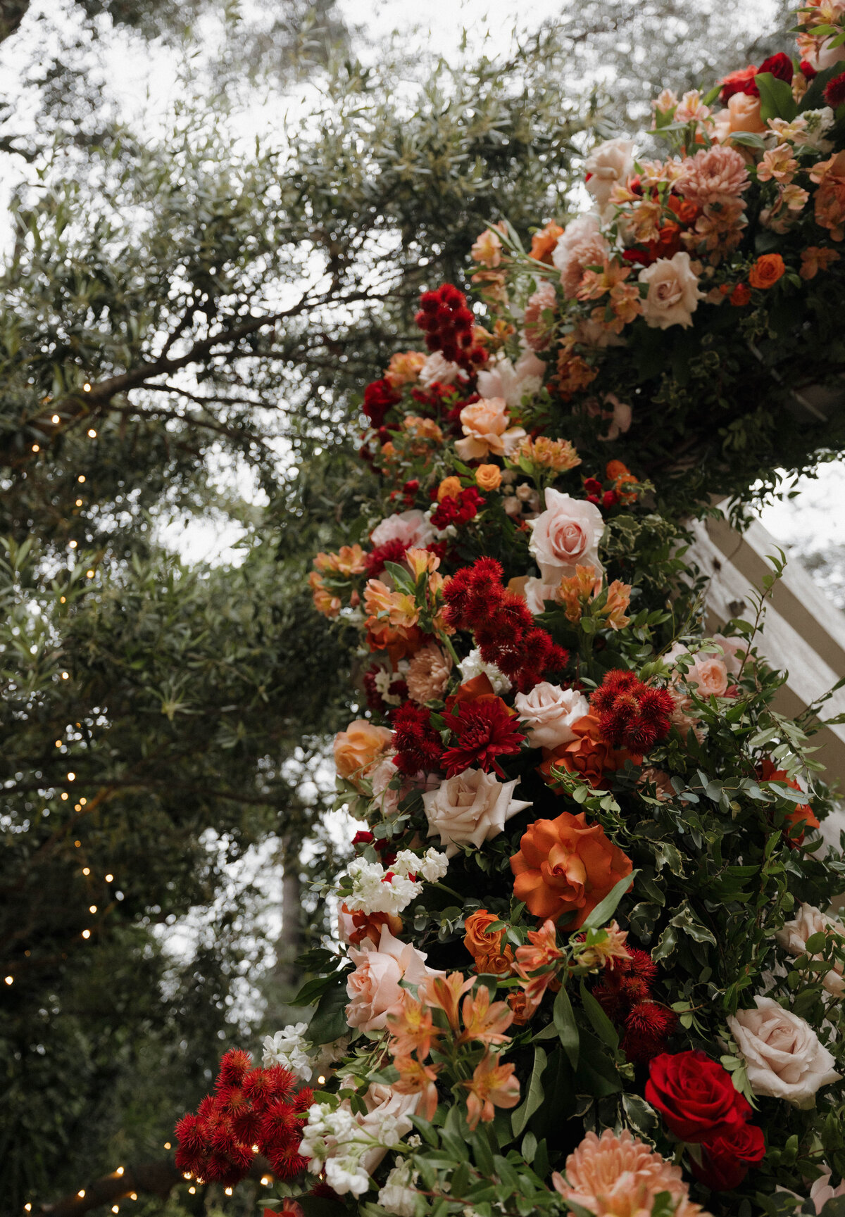 FayeFernCreative-CalamigosRanch-Wedding-Redwood-Ceremony-AM-12