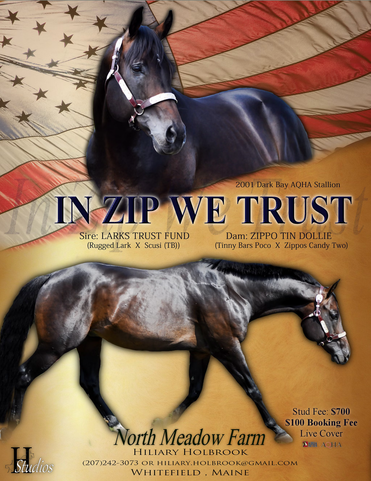 Quarter Horse Stallion Advertisement for breeding with an american flag and profile of body trotting
