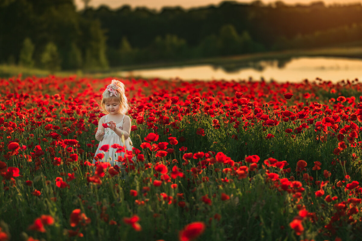 Raleigh-childrens-photographer--45