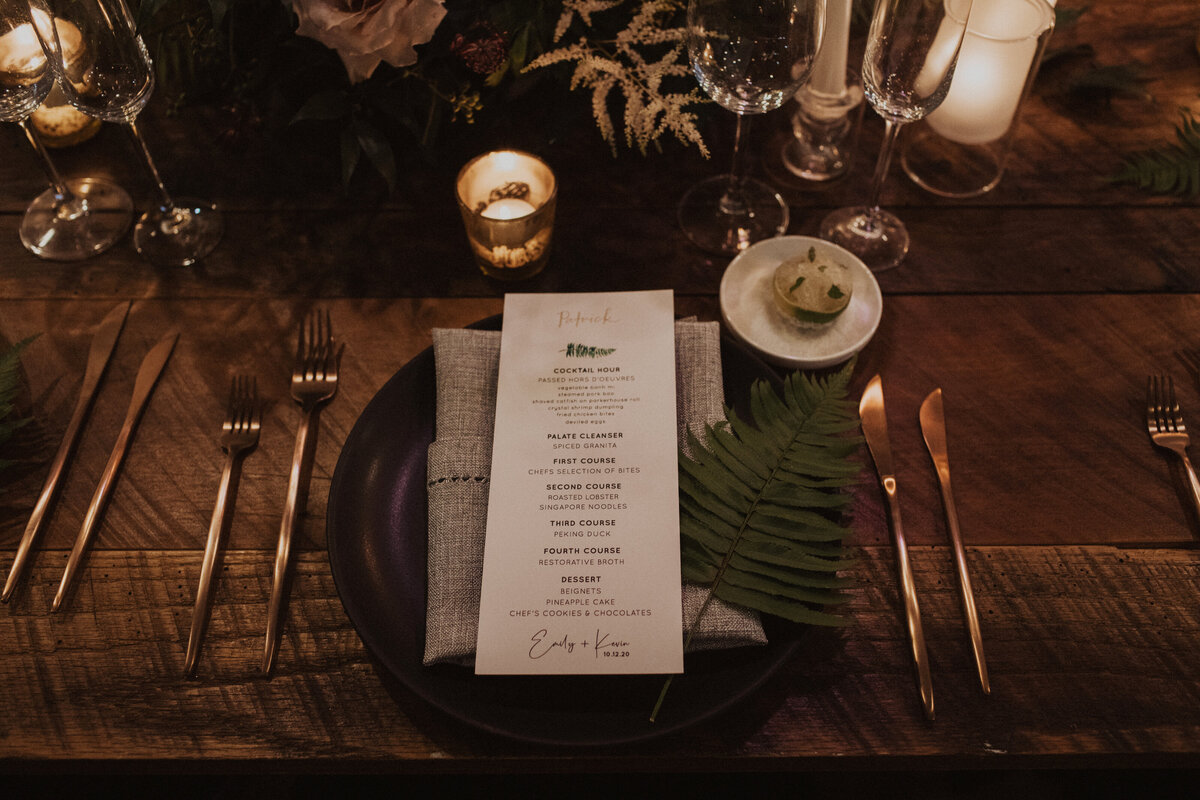 Potter-Tein Wedding-Reception-26