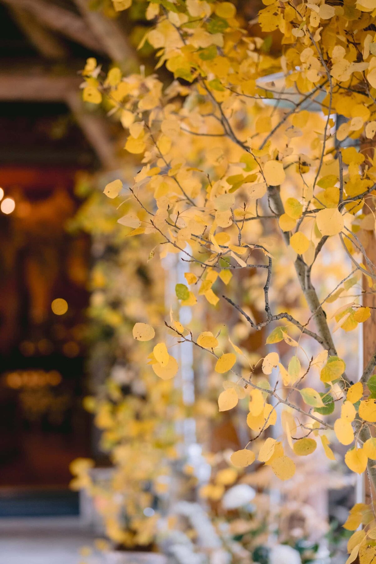 Houston Best Destination Wedding Photographers-24_2