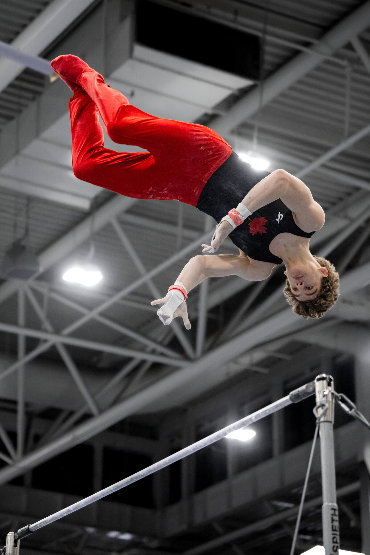 CAN_Grizzly2025-04649-2