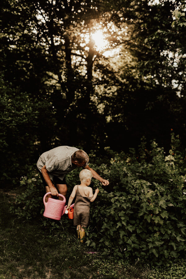 morfar plockar bär med barnbarn i trädgården under fotografering i halmstad