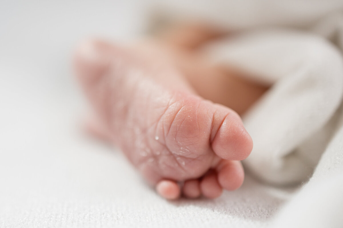 Paul Kelly Newborn Photos-5
