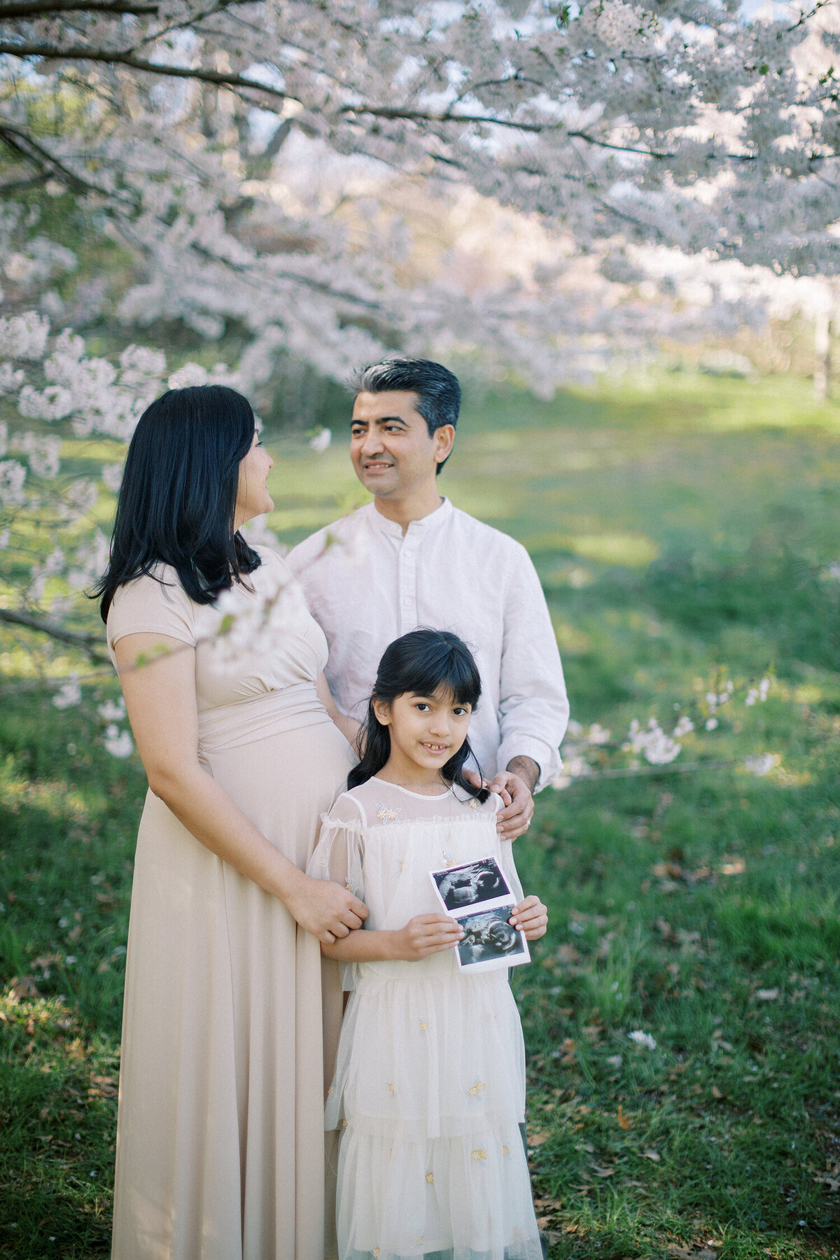 cherry blossom maternity session in rochester, ny