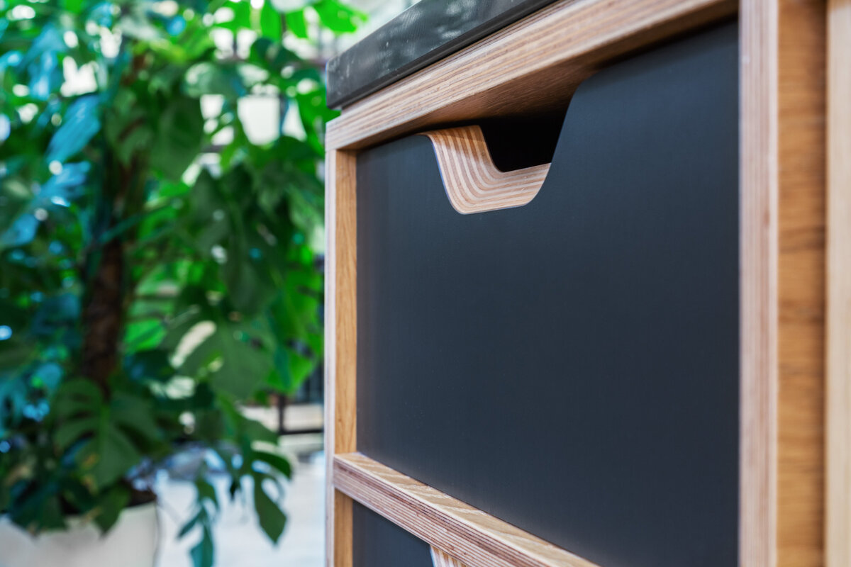 black veneer kitchen design