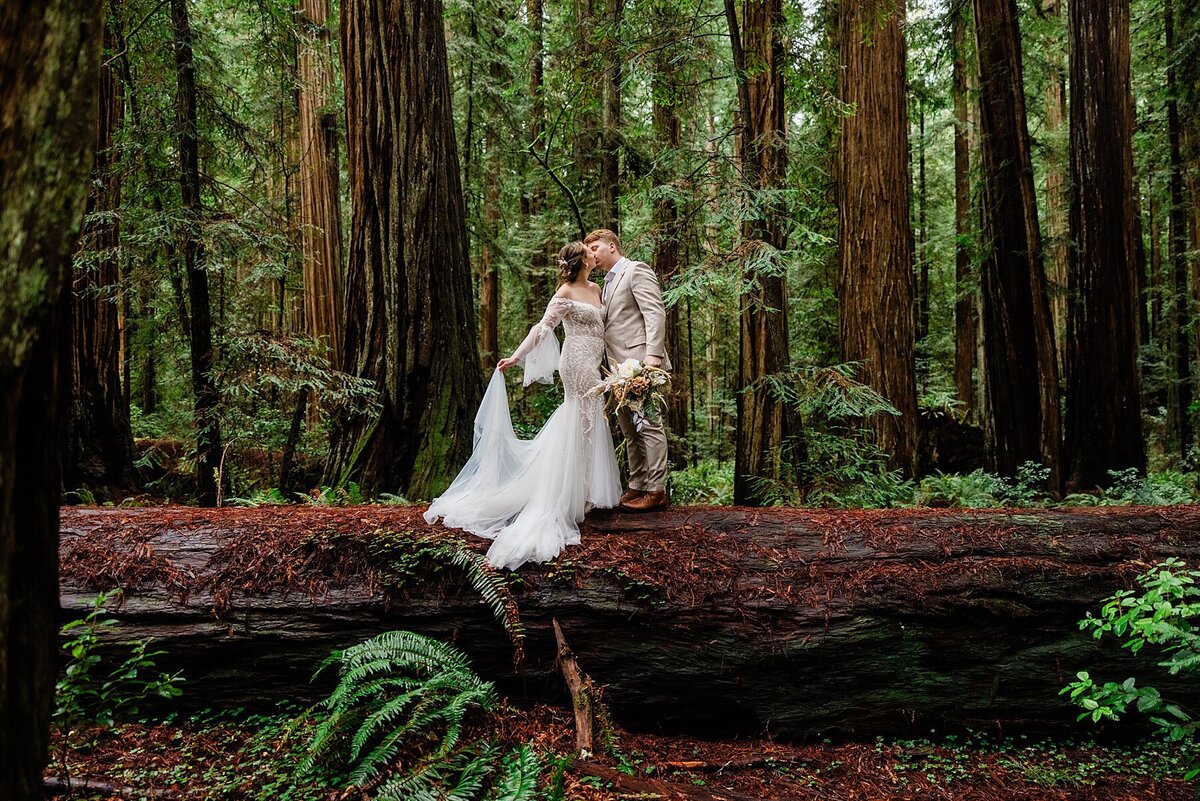 A bride and groom elope to the California Redwoods and stand on a fallen log and kiss. 