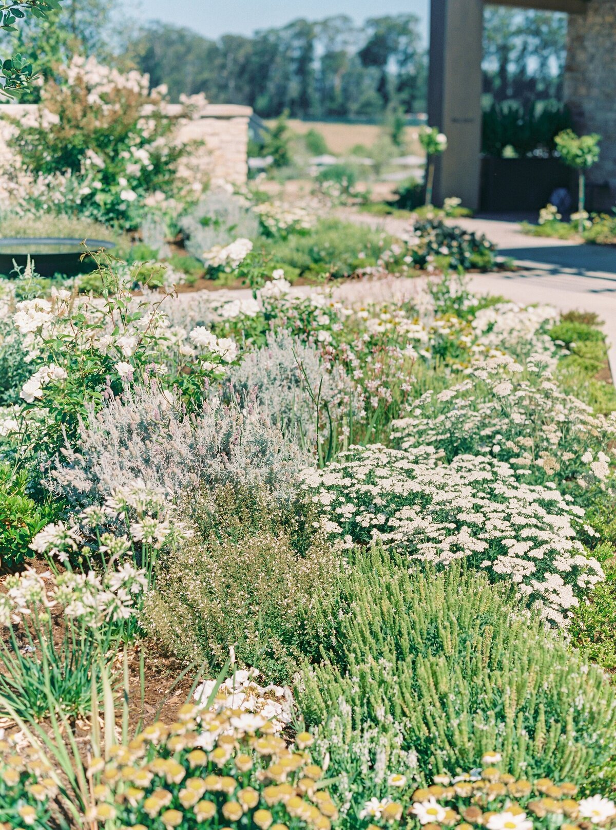 Stanly Ranch Napa Wedding_Brittney Vlad_Lauren Fair036