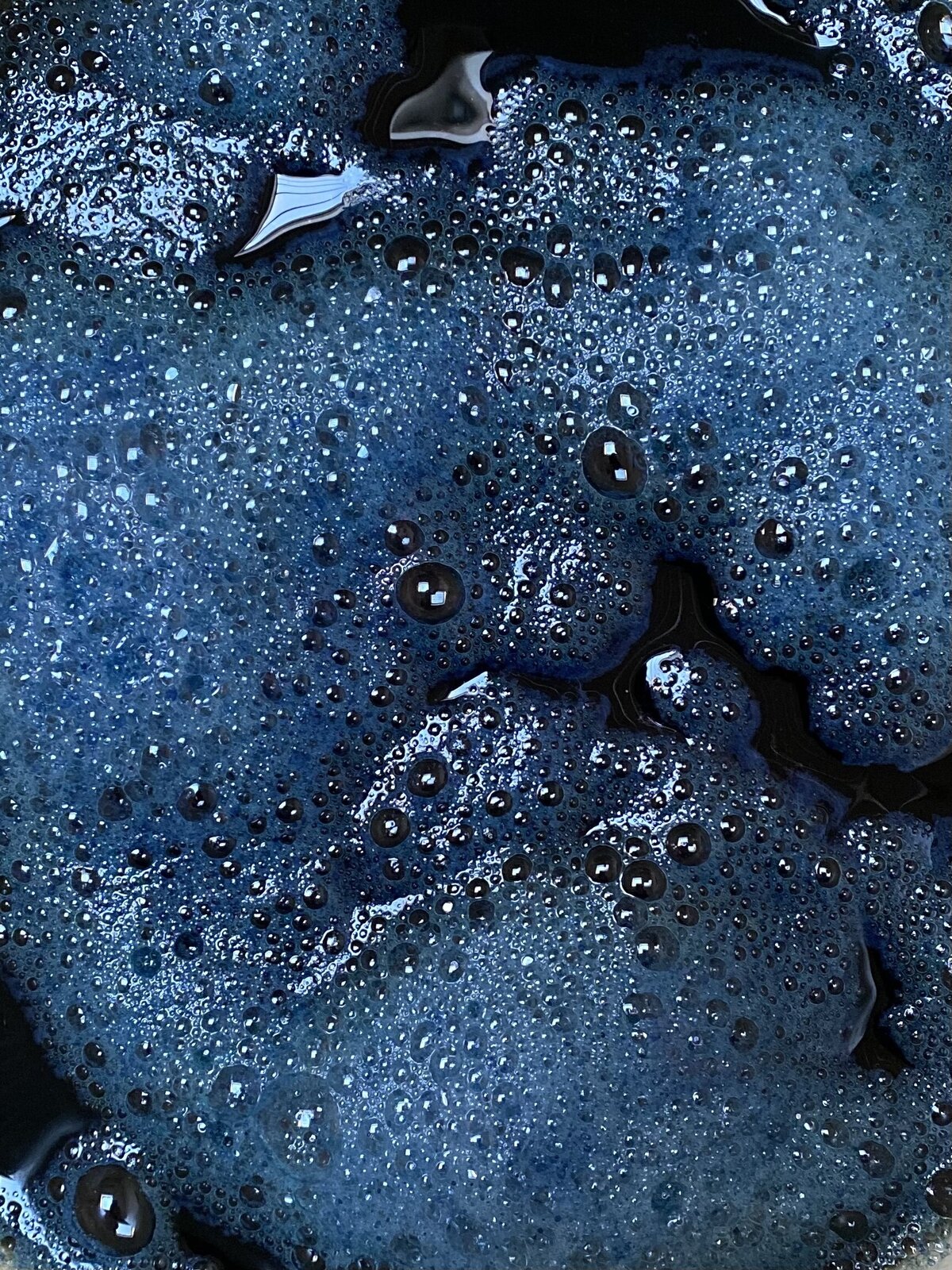 indigo plant dye