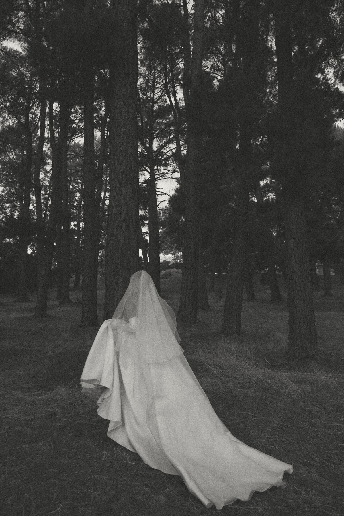 Preview-7
